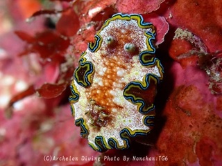 240112-non-05monja.jpg