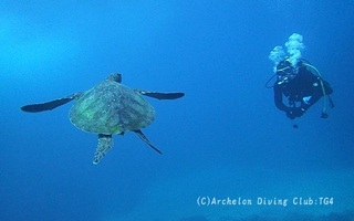 240112-snap.jpg