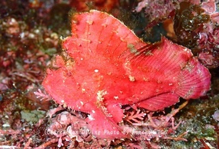 240114-non-03hadak.jpg