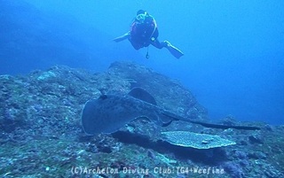 240122-snap.jpg