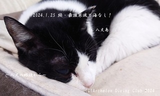 240125-no02.jpg