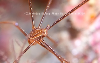 240210-yuk-04oruto.jpg