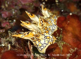 240211-take-01hiodoshi.jpg