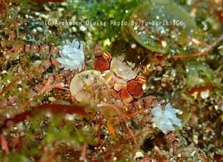240211-yuka-02kinchaku.jpg