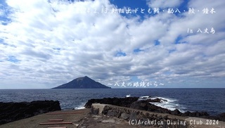 240213-nn02.jpg