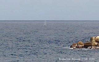 240216-blog.jpg
