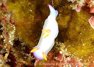 240223-mei-02zouge.jpg