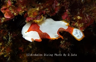 240223-sat-02kuma.jpg