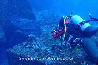 240223-sugi-01mada.jpg