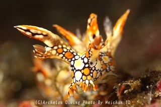 240225-me-04hiodo.jpg