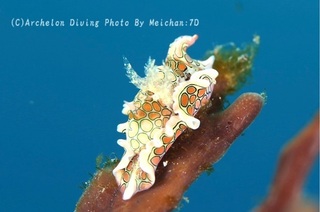 240225-me-07toumon.jpg