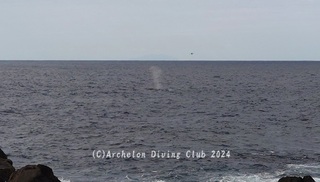 240229-blog.jpg