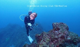 240305-snap.jpg