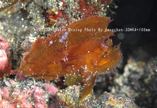 240309-har-04hadaka.jpg