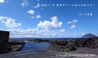 240310-yyy03.jpg
