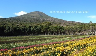 240311-blog.jpg