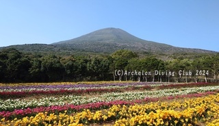 240316-furijia.jpg