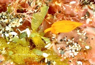 240320-norin-04shuiro.jpg