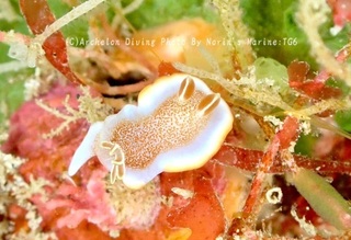 240322-norin-05kyara.jpg