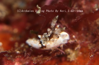 240324-nori-02tuno.jpg
