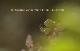 240324-nori-08shim.jpg