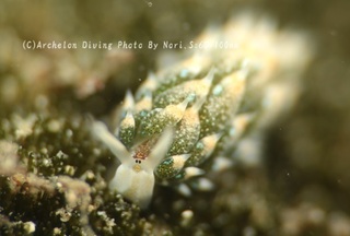 240325-nori-06mo.jpg