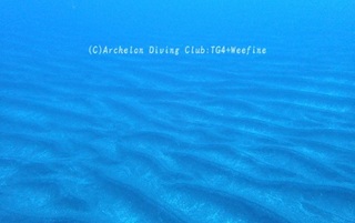 240327-y.jpg