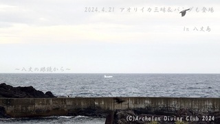 240421-yyy02.jpg
