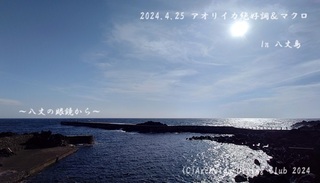 240425-yy02.jpg
