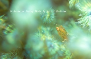 240426-nori-05keyari.jpg