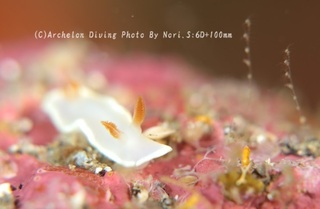 240427-nori-04heri.jpg