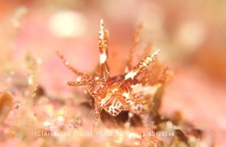 240427-nori-08shoujou.jpg