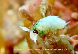 240430-norin-04neonmo.jpg