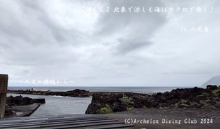 240502-yyy02.jpg