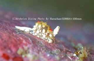 240503-har-01shell.jpg