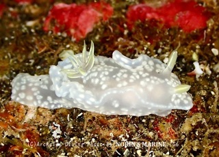 240503-norin-02yukidoke.jpg