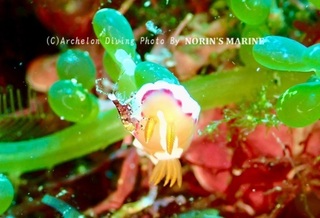240504-norin.jpg