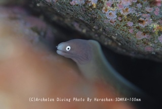 240505-har-04sabi.jpg
