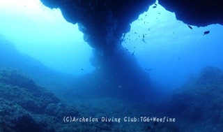 240508-y.jpg