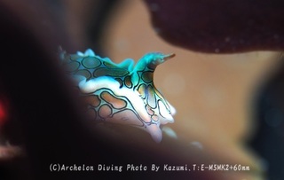 240511-kazm-02toumon.jpg