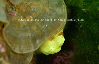 240514-kaz-03irokaeru.jpg