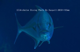 240514-kaz-06kanpa.jpg