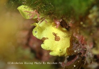 240519-mei-02irokaeru.jpg
