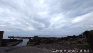 240519-ynn03.jpg