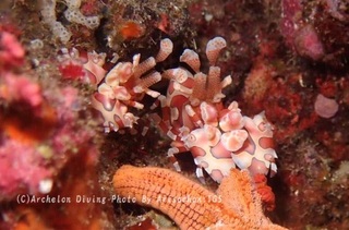 240602-ari-07hurisode.jpg