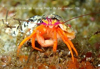 240609-emi-01furuse.jpg