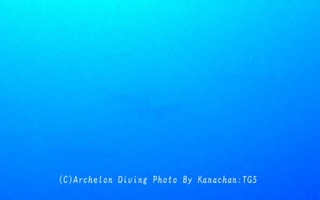 240623-kana-08hanmer.jpg