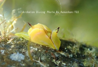 240623-kana-10danobo.jpg