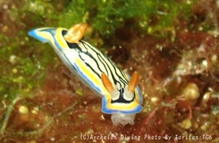 240626-ide-01ryuumon.jpg