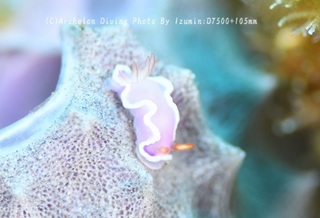 240706-izm-01rabenda.jpg